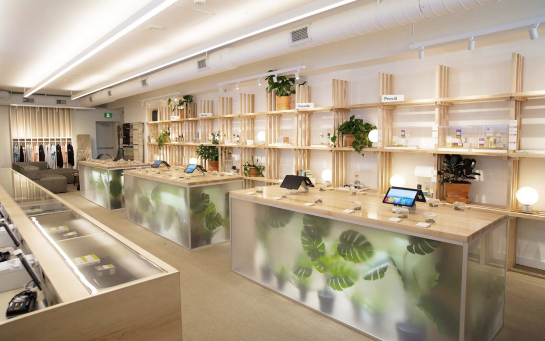 The Ultimate Guide to Open a Cannabis Shop